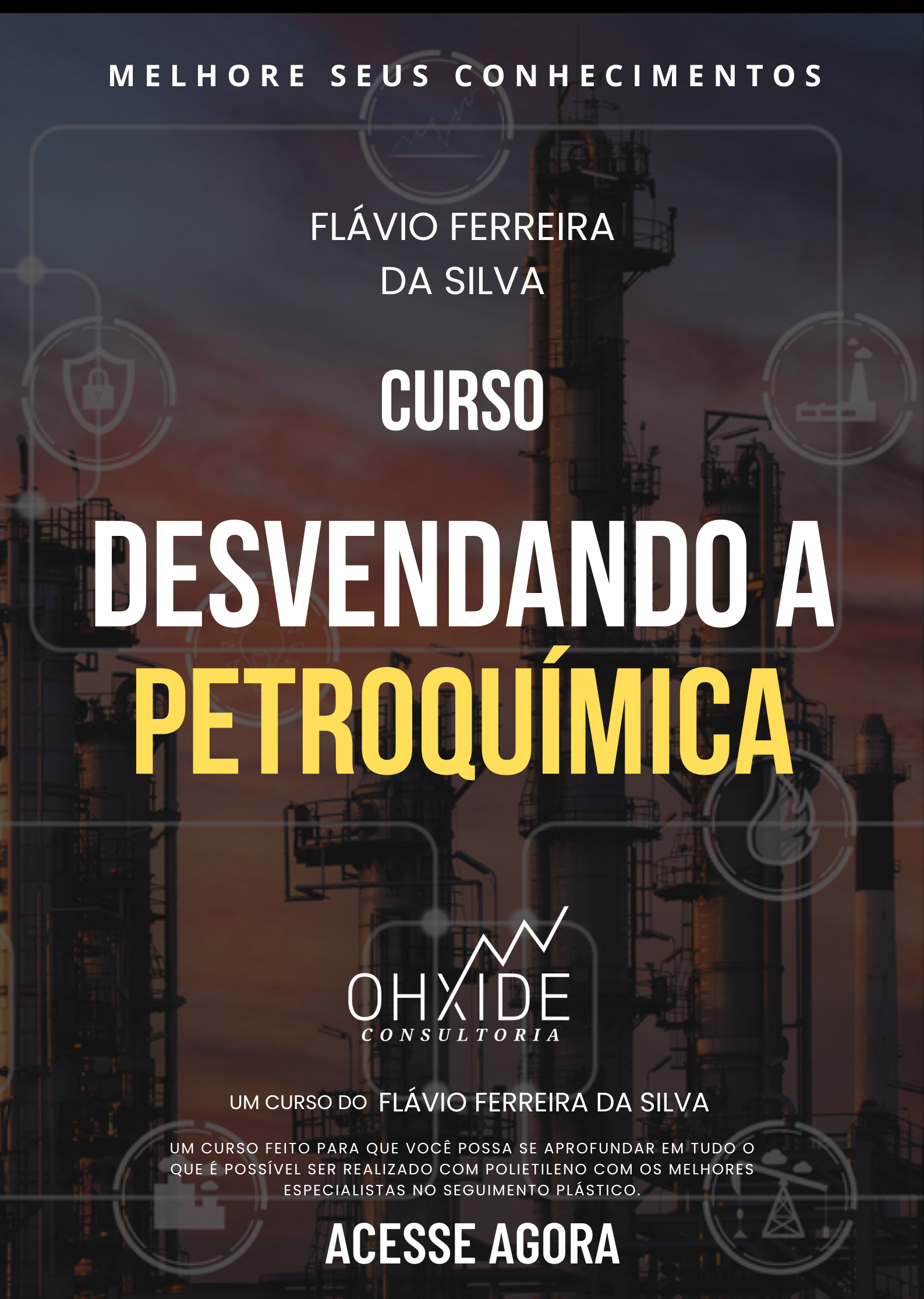 DESVENDANDO A PETROQUÍMICA